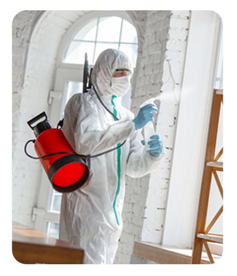 Disinfection Services Dubai - Etisalat Facilities Management